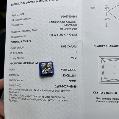 8.93CT H रंग VS2 स्पष्टता 2EX सीवीडी लैब प्रौढ़ राजकुमारी कट हीरा